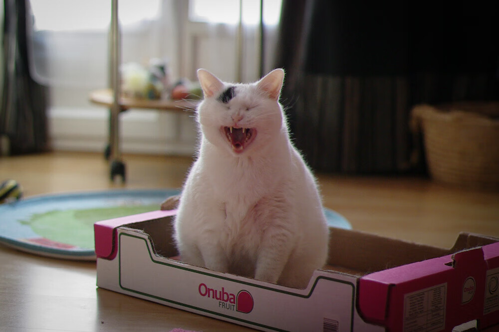 开云 官网 入口-新闻中心发布全国高水平运动员数据管理平台开放信息，高水平运动员成绩查询