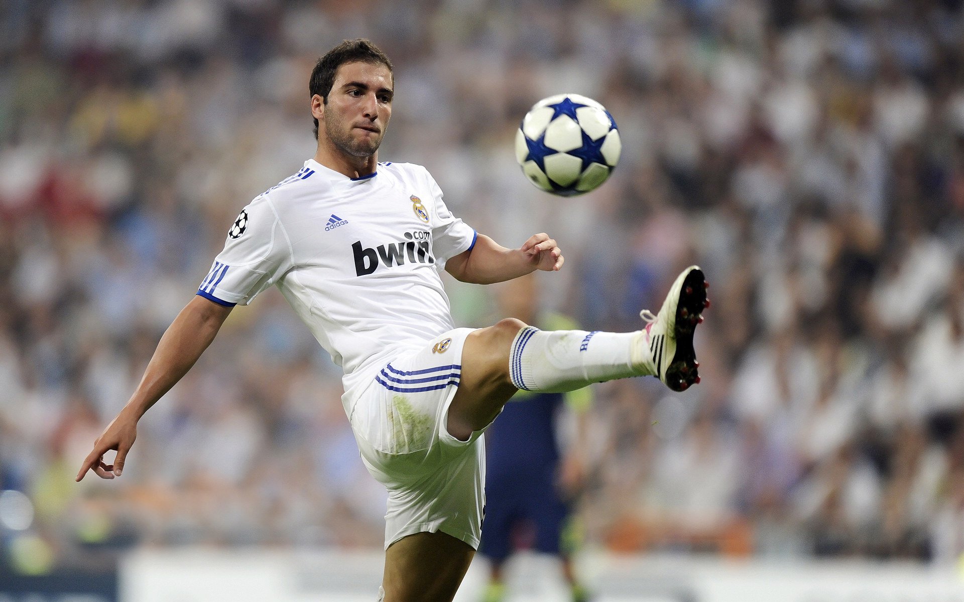 中国男篮的未来值得全国期待，未来中国男篮的领军人